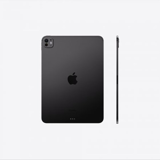 Apple 11-inch iPad Pro (M4) WiFi 256GB with Standard glass - Space Black