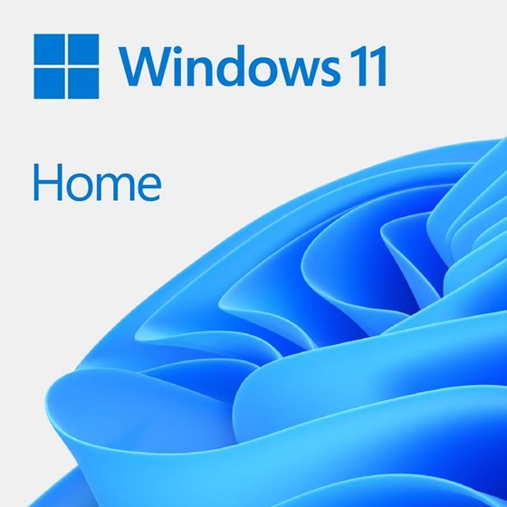 Software Microsoft Windows 11 Home FPP ENG (usb stick), HAJ-00090
